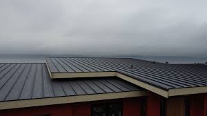 Best Green or Eco-Friendly Roofing Solutions  in Robstown, TX